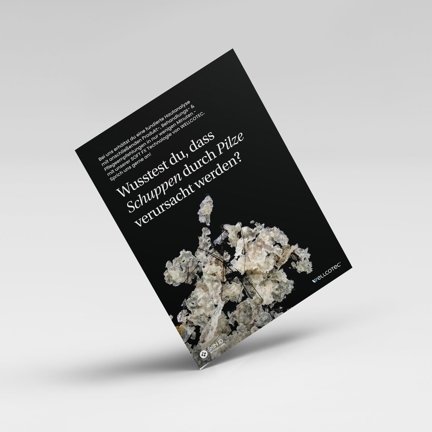 Poster/Plakat (DIN A1) - passend zum Hautanalysegerät SOFT FX - SKIN.ID Technologies by WELLCOTEC