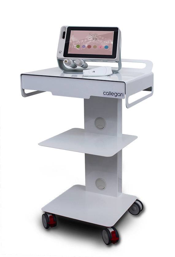 Hautanalysegerät SOFT FX "Elite-G" (Ganzkörper-Analyse von Haar & Haut inkl. Cellulite) - SKIN.ID Technologies by WELLCOTEC